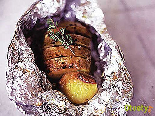 Как запекать картошку в фольге в духовке?