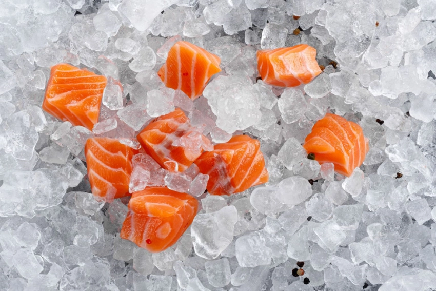 Российский атлантический лосось: как Мурманская аквакультура кормит страну